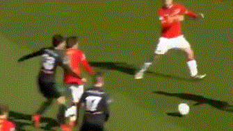 的敏锐理解 的敏锐理解