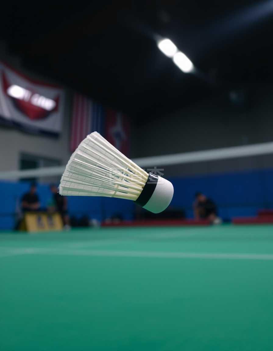 用年轻球员 用年轻球员